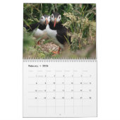 Calendrier Skomer Island Puffins 2021 Pays de Galles (Feb 2026)