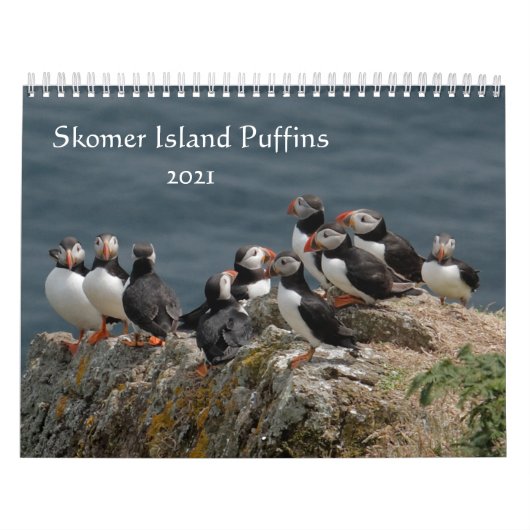 Calendrier Skomer Island Puffins 2021 Pays de Galles (Protection)