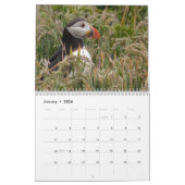 Calendrier Skomer Island Puffins 2021 Pays de Galles (Jan 2026)