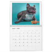 Calendrier Sleepworld 2020 de Mancini - (Mar 2027)