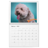 Calendrier Sleepworld 2020 de Mancini - (Feb 2027)