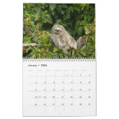 Calendrier Sloth 2025 (Jan 2026)