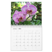 Calendrier Sm - Photos Fleurs (Jan 2026)