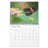 Calendrier Small Size Beautiful Butterflies Calendar (Feb 2026)