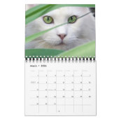 Calendrier Small Size Cat Lovers Calendar (Mar 2026)