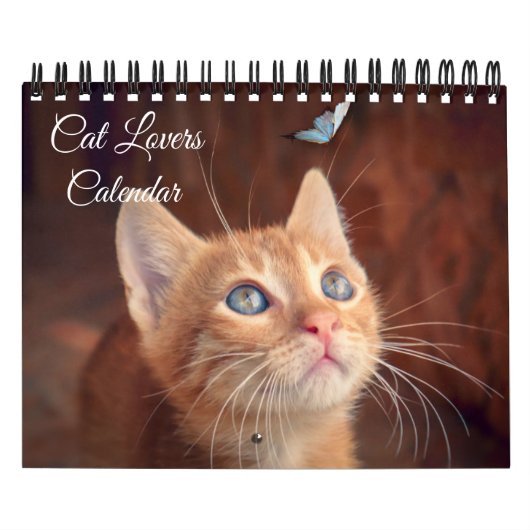 Calendrier Small Size Cat Lovers Calendar (Protection)