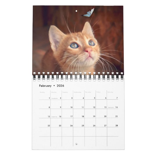 Calendrier Small Size Cat Lovers Calendar (Feb 2026)