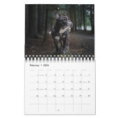 Calendrier Small Size Dog Lovers Calendar (Feb 2026)