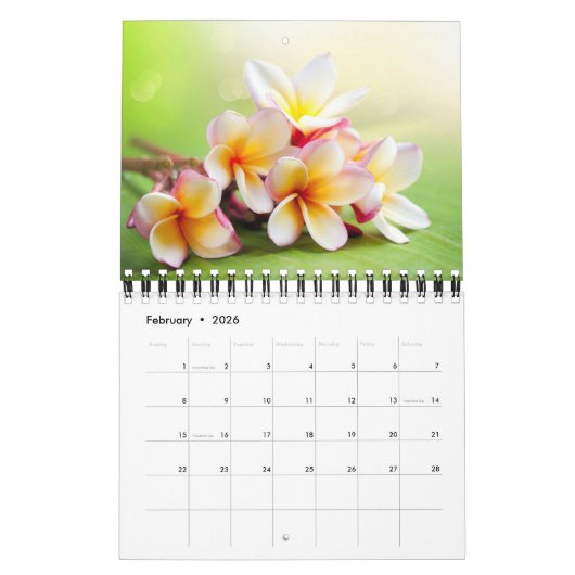 Calendrier Small Size Exotic Flowers Calendar (Feb 2026)