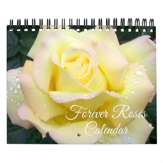 Calendrier Small Size Forever Roses Calendar (Protection)