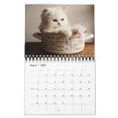 Calendrier Small Size Kittens Calendar (Mar 2027)