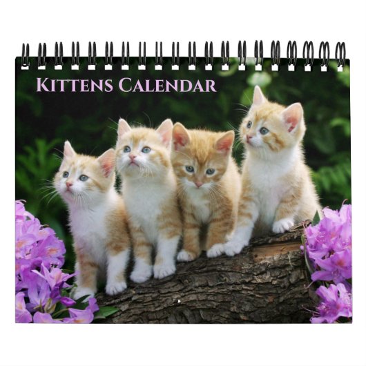 Calendrier Small Size Kittens Calendar (Protection)