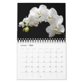 Calendrier Small Size Orchids Calendar (Jan 2026)