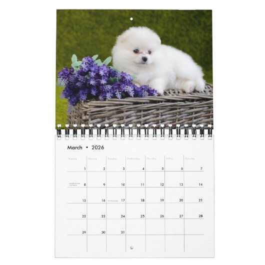 Calendrier Small Size Puppy Love Calendar (Mar 2026)