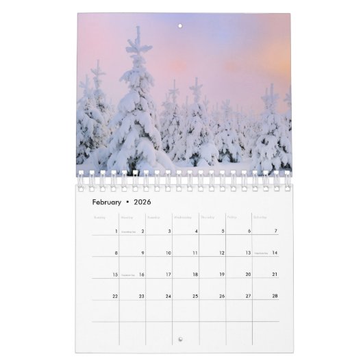Calendrier Small Size Winter Paradise Calendar (Feb 2026)