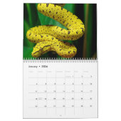 Calendrier Snake Calendar 2025 (Jan 2026)