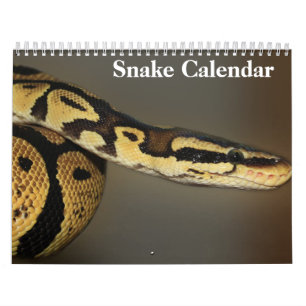 Calendrier Snake Calendar 2025