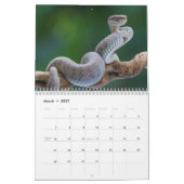 Calendrier Snake Calendar 2025 (Mar 2027)