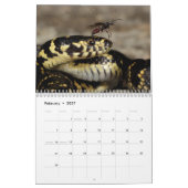 Calendrier Snake Calendar 2025 (Feb 2027)