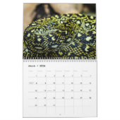 Calendrier Snake Calendar 2025 (Mar 2026)