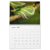 Calendrier Snake Calendar 2025 (Jan 2027)