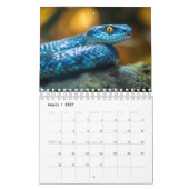 Calendrier Snake Calendar 2025 (Mar 2027)
