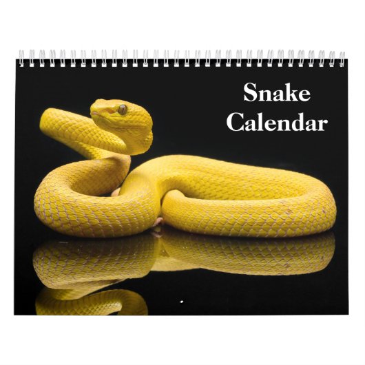 Calendrier Snake Calendar 2026 (Protection)