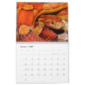 Calendrier Snake Calendar 2026 (Jan 2027)