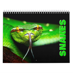 Calendrier Snakes 2022 Wall Calendar