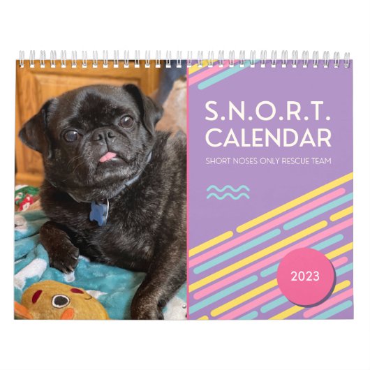 Calendrier SNORT 2023 (Protection)
