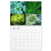 Calendrier Snowcatcher 2026 (Mar 2027)