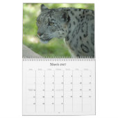 Calendrier SnowLeopardM002, léopard de neige (Mar 2027)