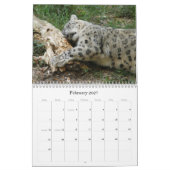Calendrier SnowLeopardM002, léopard de neige (Feb 2027)
