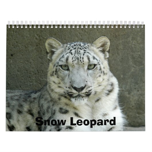 Calendrier SnowLeopardM002, léopard de neige (Protection)
