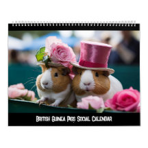 Calendrier social des Cochons de Guinée britanniqu