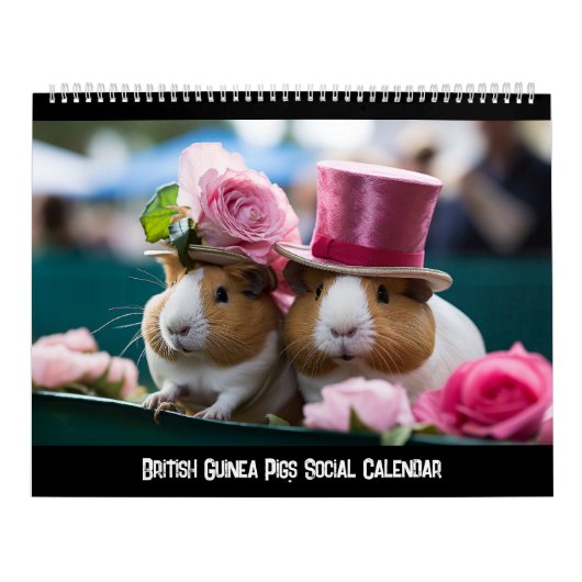 Calendrier social des Cochons de Guinée britanniqu (Protection)