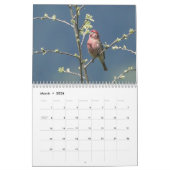 Calendrier Songeurs d'Amérique du Nord (Mar 2026)