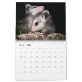 Calendrier Sourires d'opossum (Mar 2026)