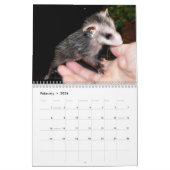 Calendrier Sourires d'opossum (Feb 2026)