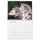 Calendrier Sourires d'opossum (Jan 2026)