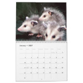 Calendrier Sourires d'opossum (Jan 2027)