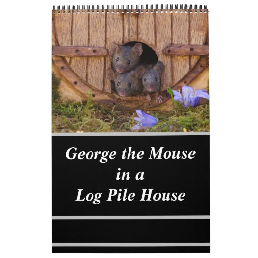 Calendrier Souris - George la souris dans une pile de billes (Protection)