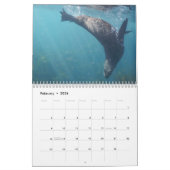 Calendrier Sous la mer Australie Animaux marins (Feb 2026)