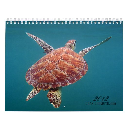 Calendrier sous-marin de Chan Chemuyil (Protection)