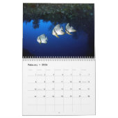 Calendrier Sous-marin de Siquijor taille S- L (Feb 2026)