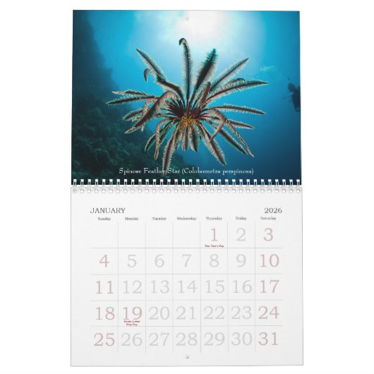 Calendrier sous-marin d'espèce marine de 2012 (Jan 2026)