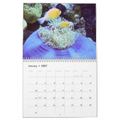 Calendrier sous-marin - Palaos (Jan 2027)