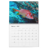 Calendrier sous-marin - Palaos (Feb 2027)
