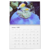 Calendrier sous-marin - Palaos (Jan 2027)