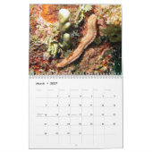 Calendrier sous-marin — Roatan, Honduras (Mar 2027)